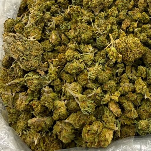 Papaya Bomb bulk THCA flower — Plain Jane 1 lb