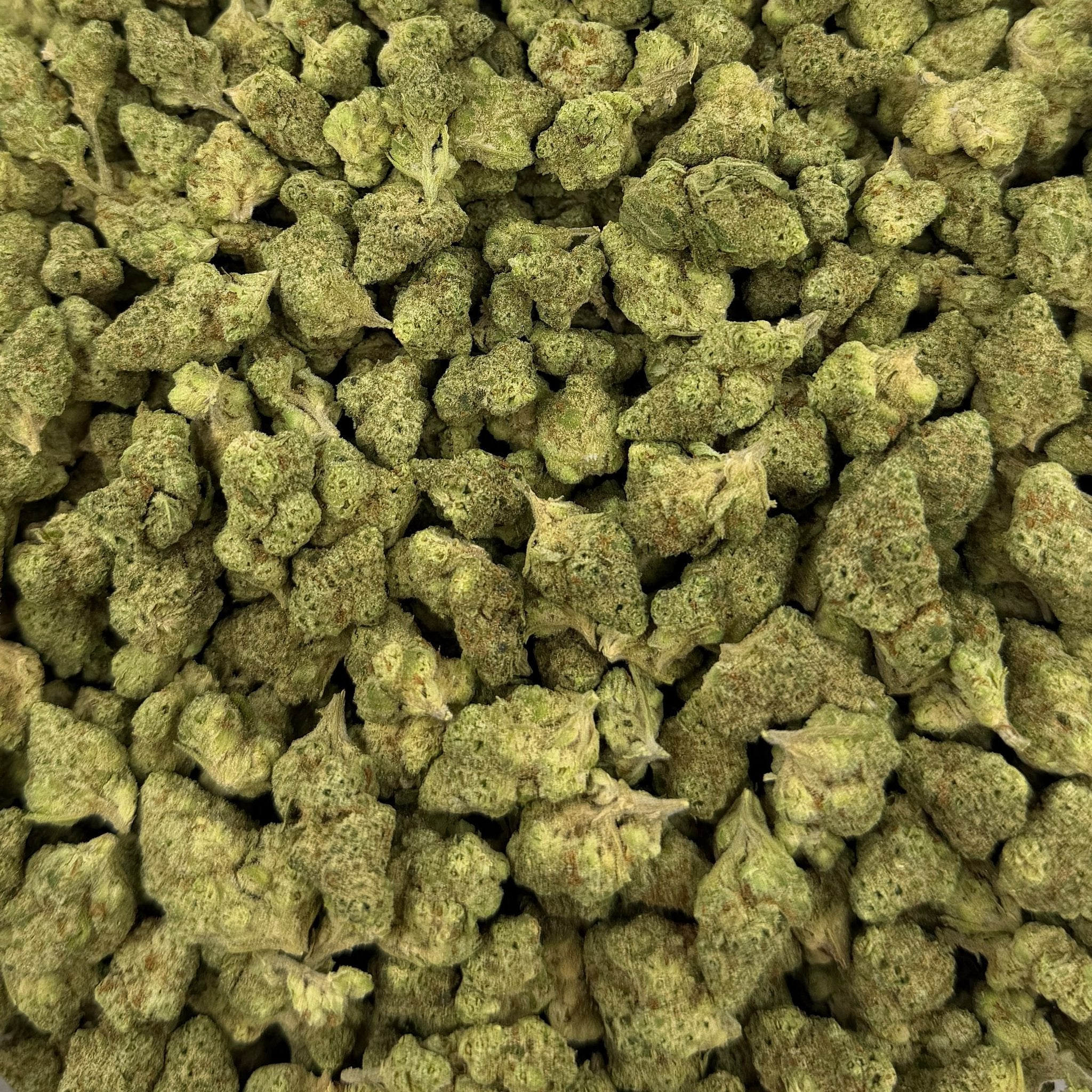 Papaya Bomb bulk THCA flower — Plain Jane 1 lb