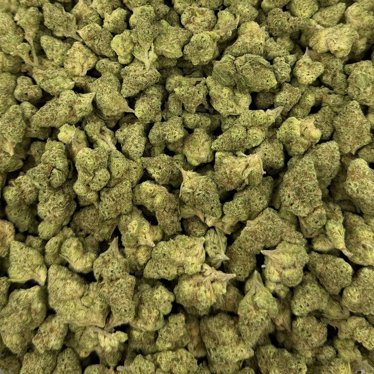 Papaya Bomb bulk THCA flower — Plain Jane 1 lb