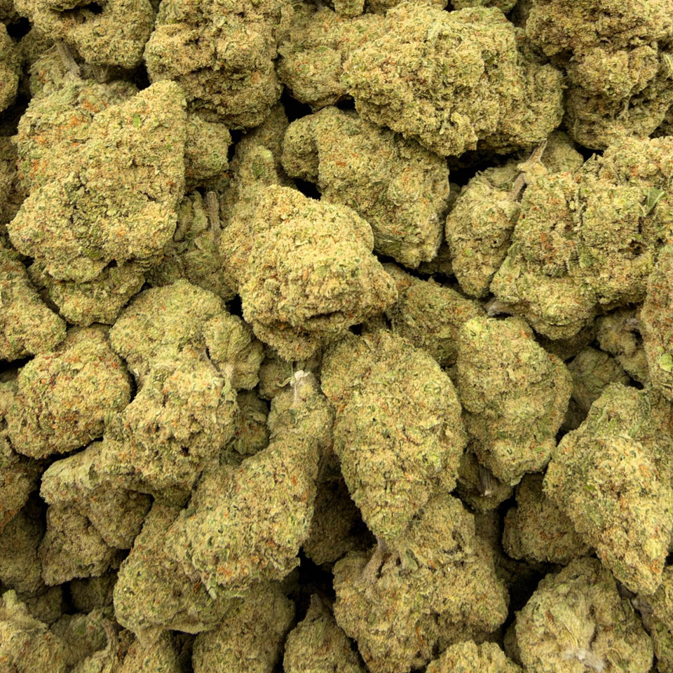 Papaya Bomb (Value Indoor) – Bulk THCA Flower 1 lb