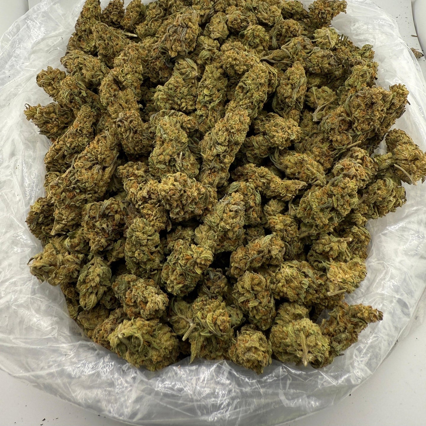 Papaya Punch bulk THCA flower — Plain Jane 1 lb