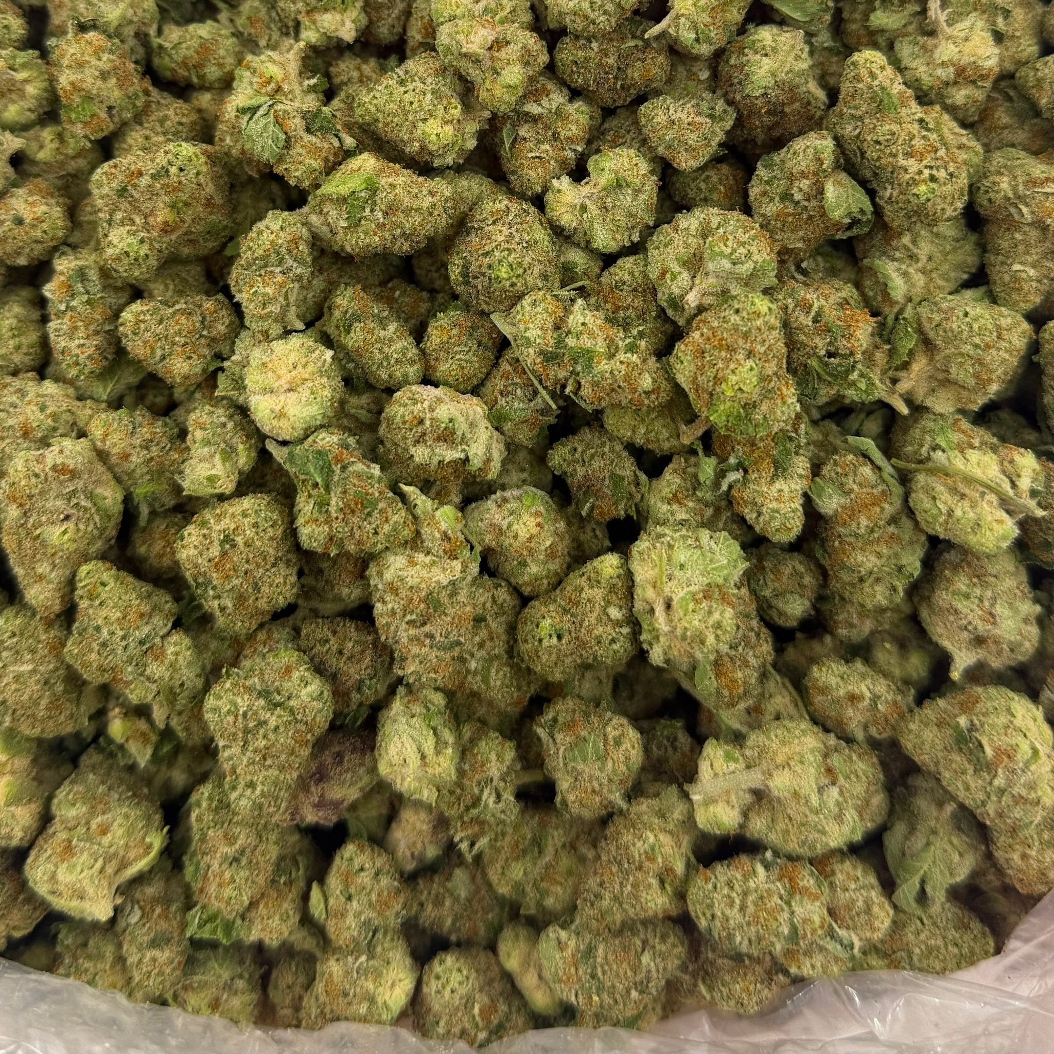 Papaya Punch bulk THCA flower — Plain Jane 1 lb