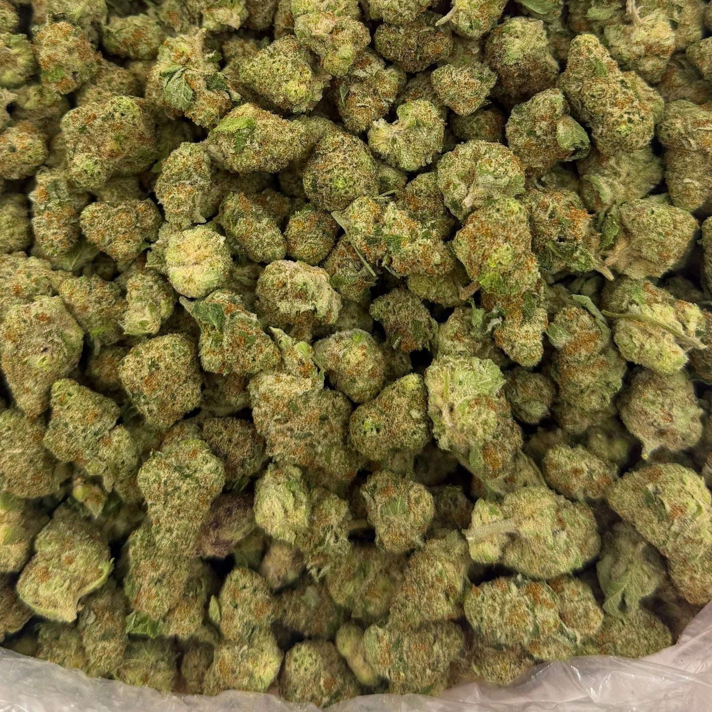 Papaya Punch bulk THCA flower — Plain Jane 1 lb