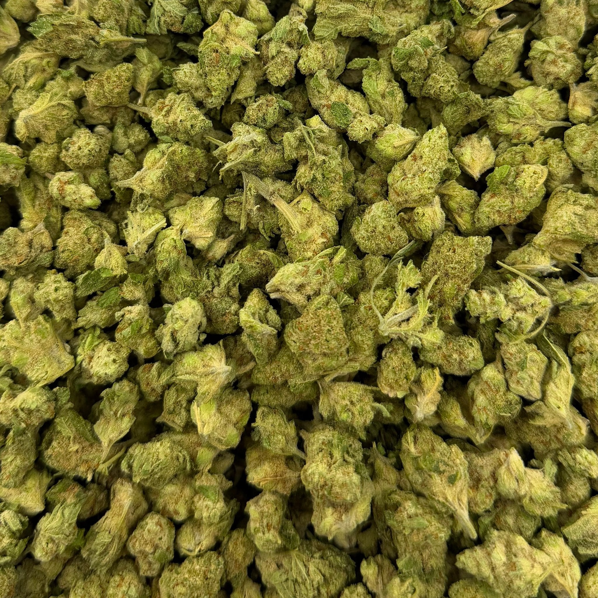 Papaya Punch bulk THCA flower — Plain Jane 1 lb
