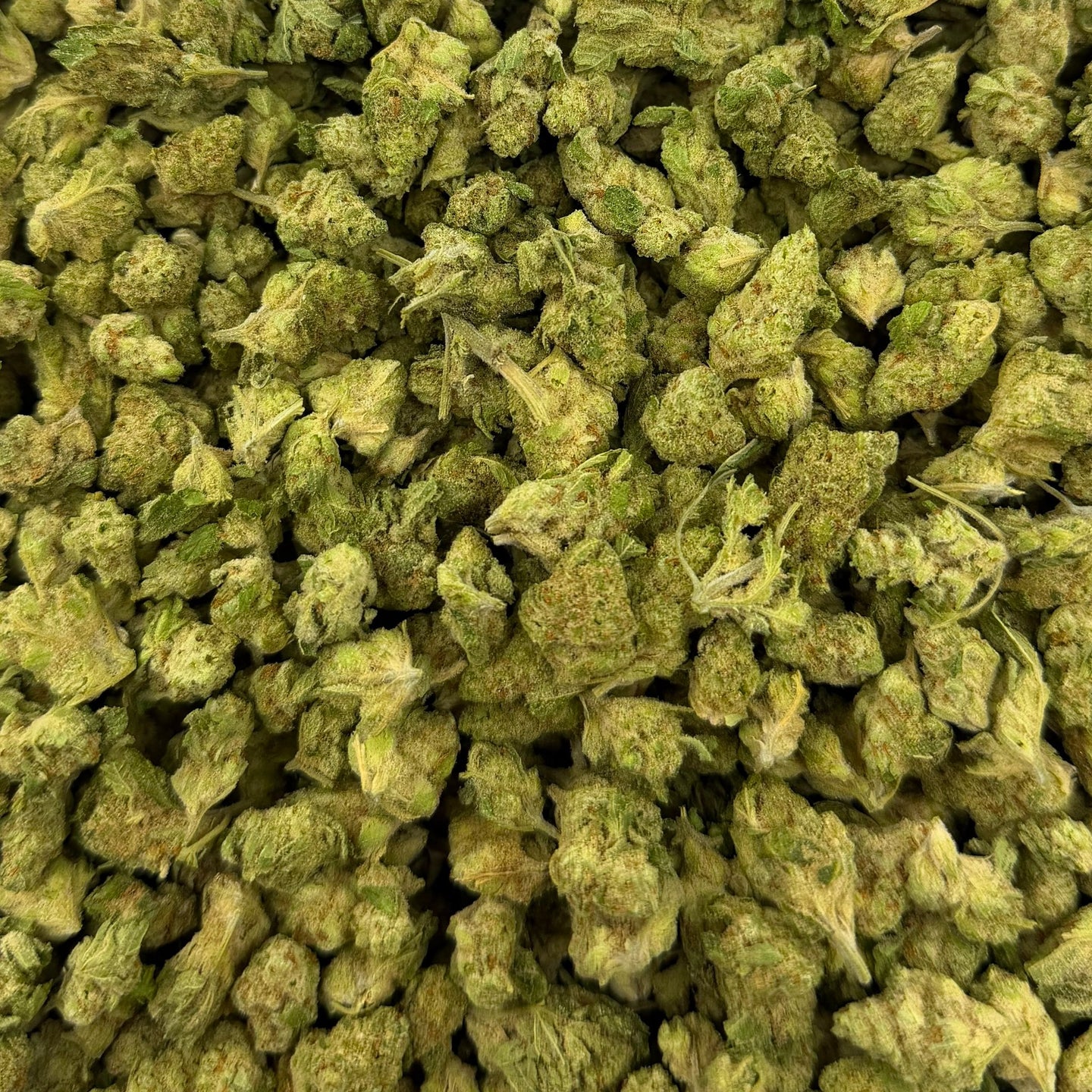 Papaya Punch bulk THCA flower — Plain Jane 1 lb
