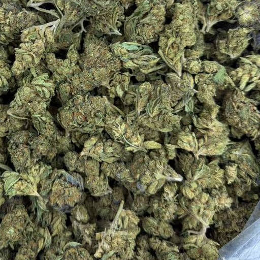 Pave Khalifa bulk THCA flower — Plain Jane 1 lb