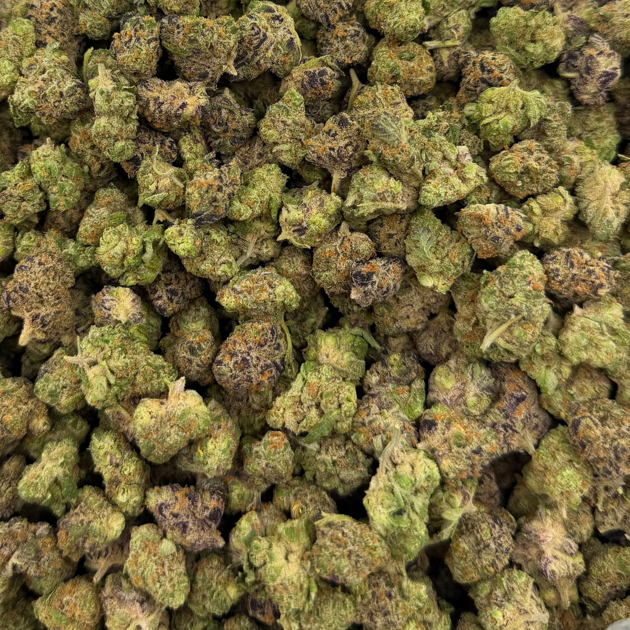 Pbb bulk THCA flower — Plain Jane 1 lb
