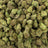 Pbb bulk THCA flower — Plain Jane 1 lb
