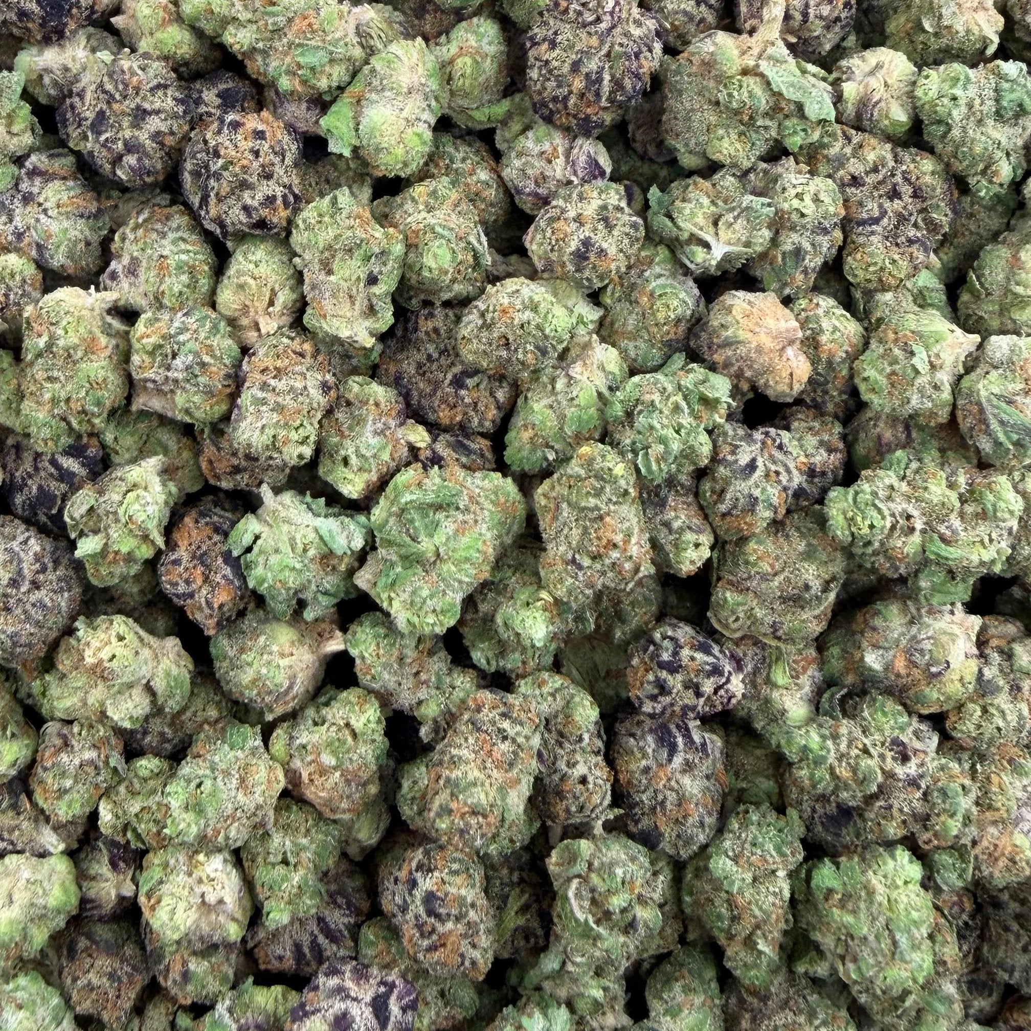 Pbb bulk THCA flower — Plain Jane 1 lb