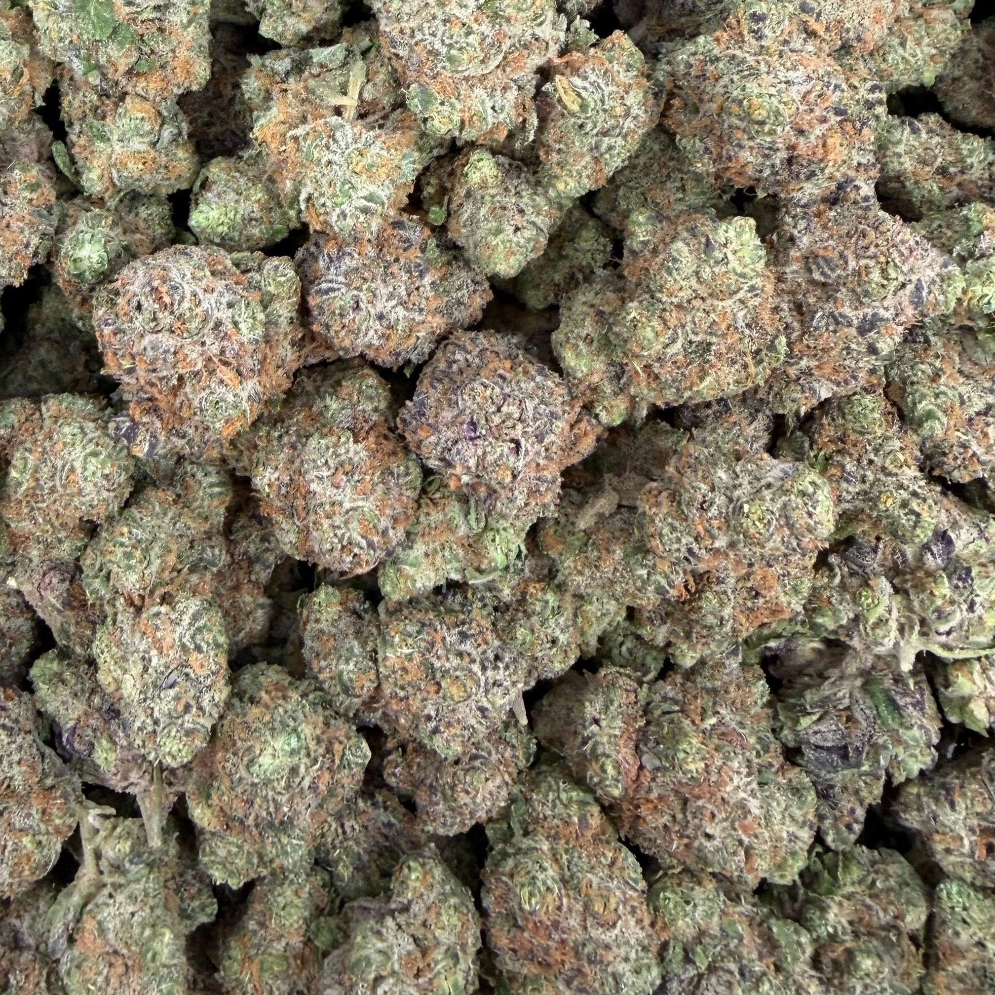 PBB bulk THCA flower — Plain Jane 1 lb