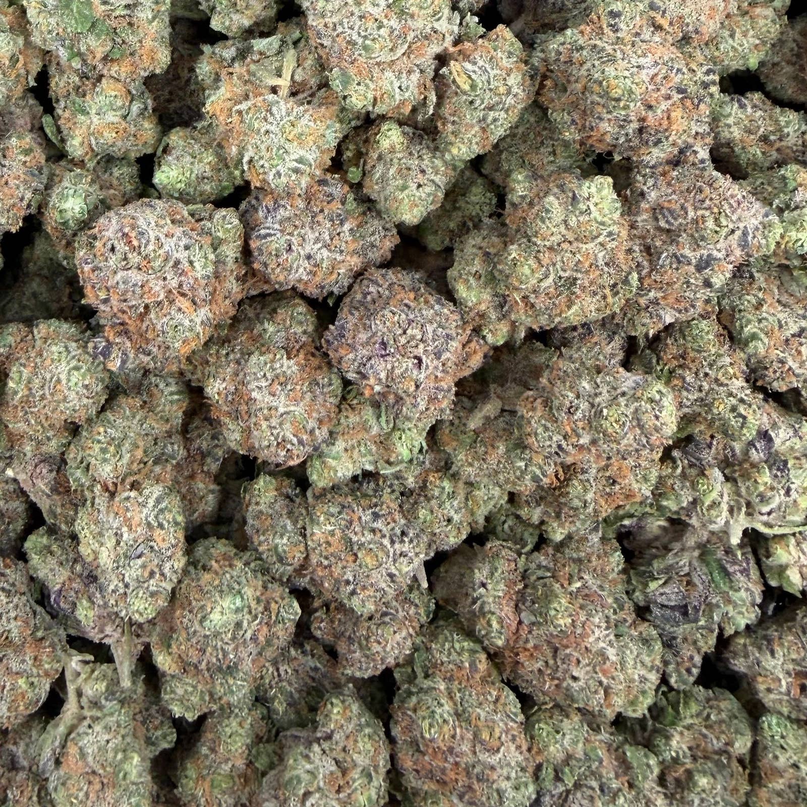PBB bulk THCA flower — Plain Jane 1 lb