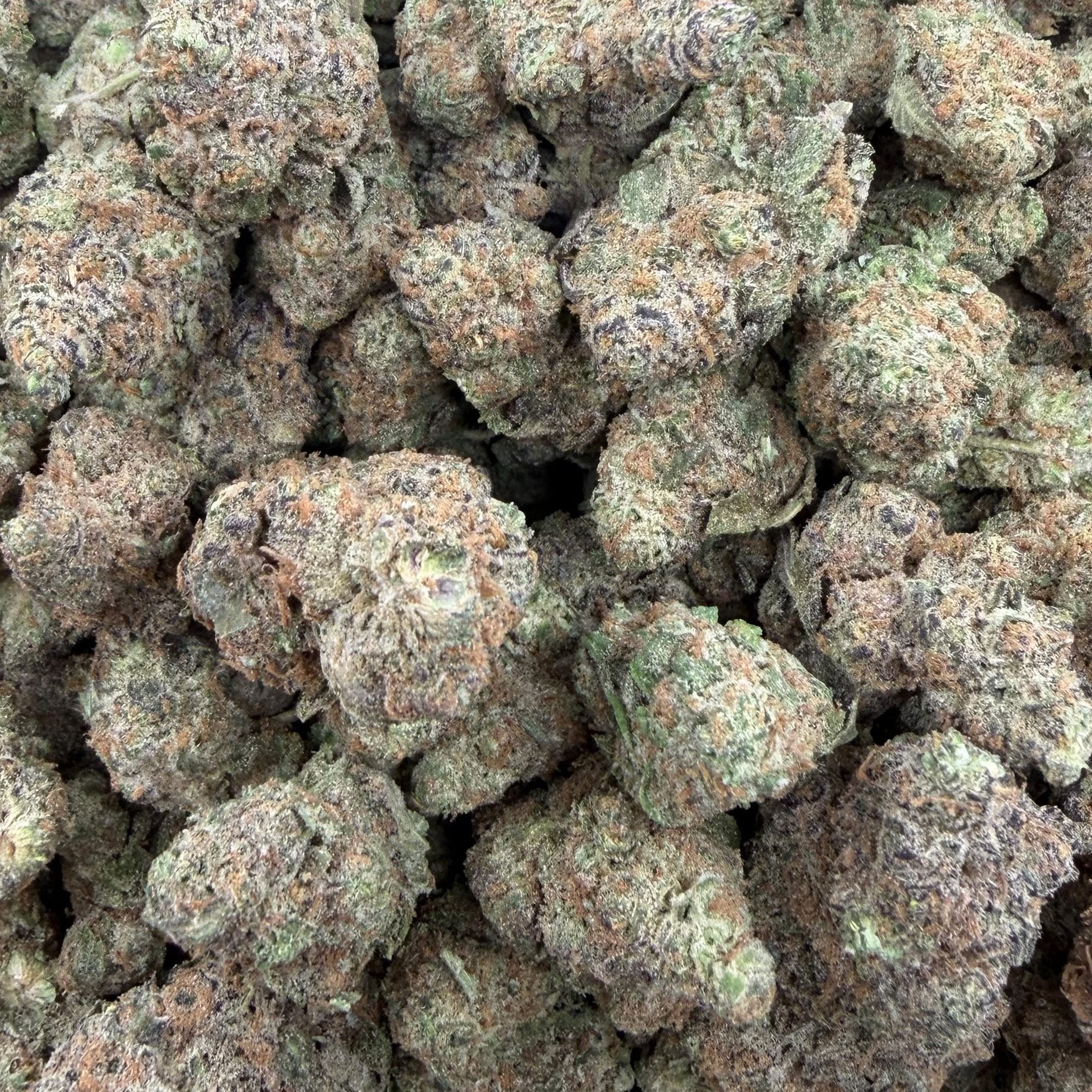 PBB bulk THCA flower — Plain Jane 1 lb