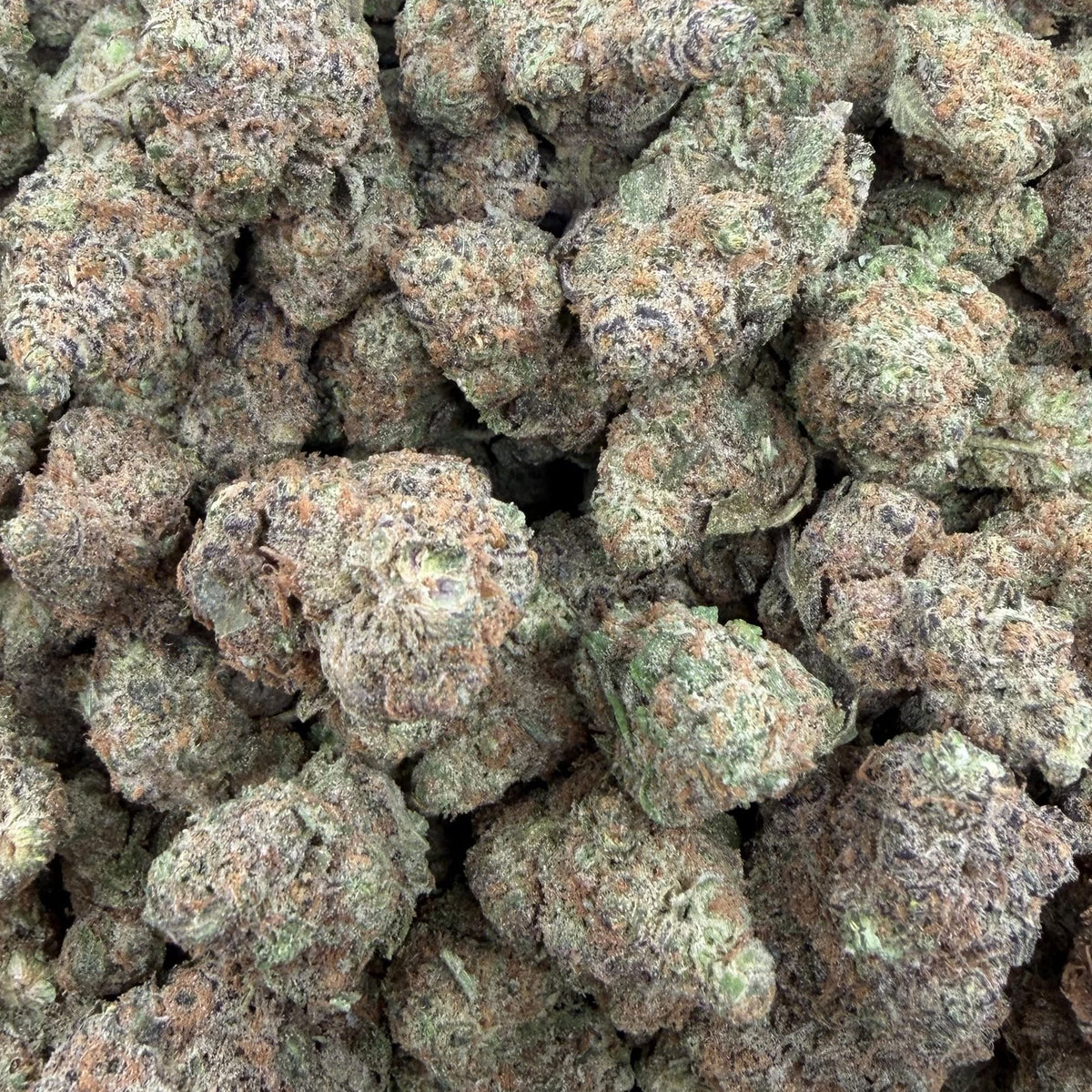 PBB bulk THCA flower — Plain Jane 1 lb