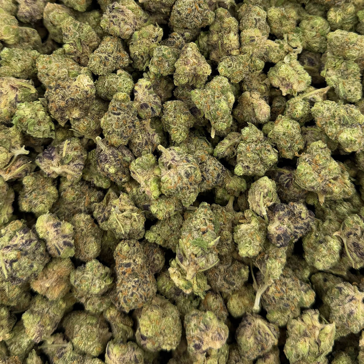 Pbb bulk THCA flower — Plain Jane 1 lb