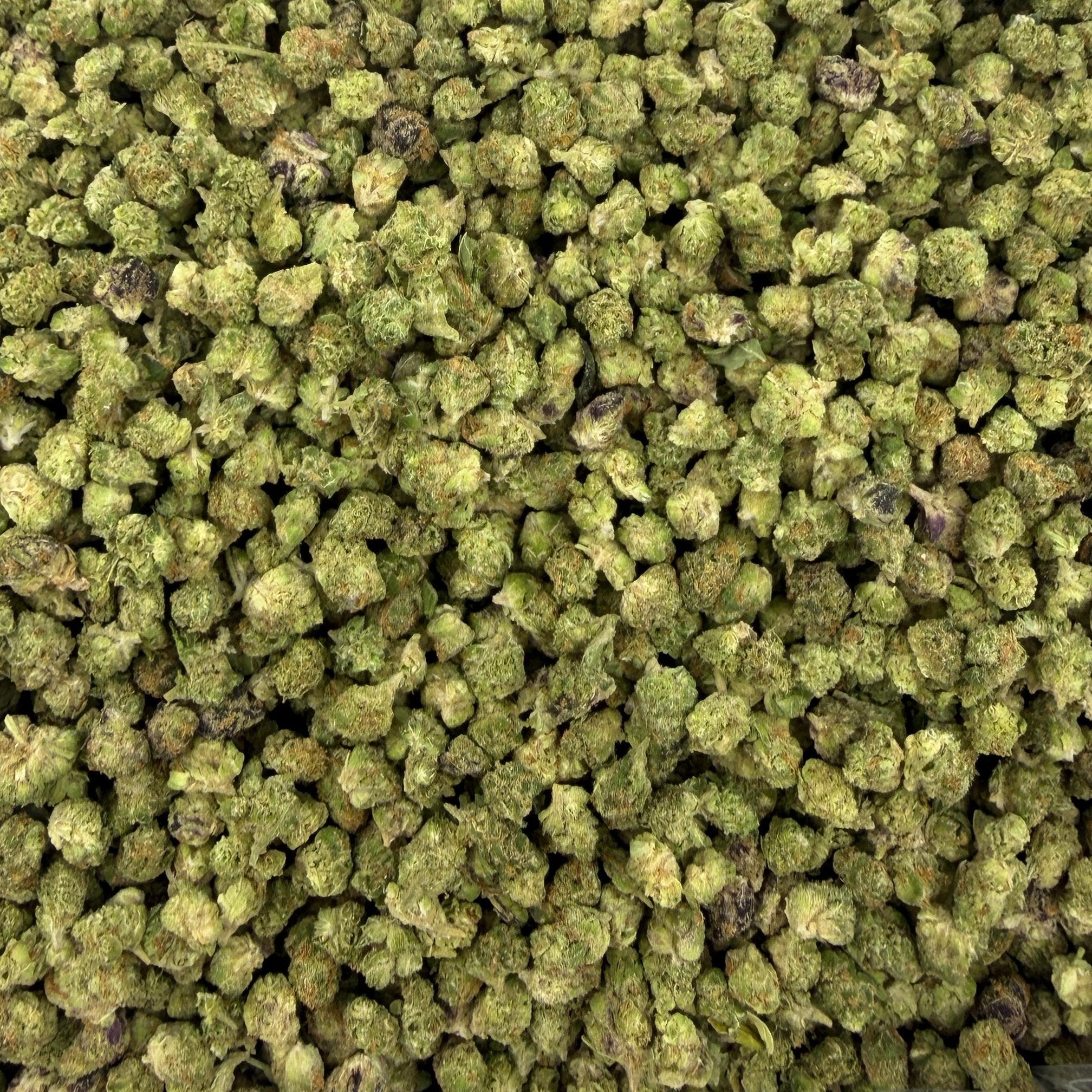 PBB M bulk THCA flower — Plain Jane 1 lb