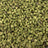 PBB M bulk THCA flower — Plain Jane 1 lb