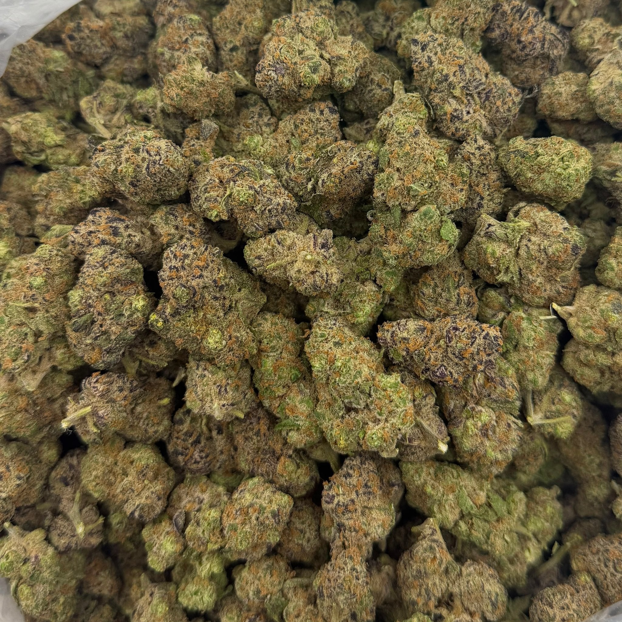 Peanut Butter Breath bulk THCA flower — Plain Jane 1 lb