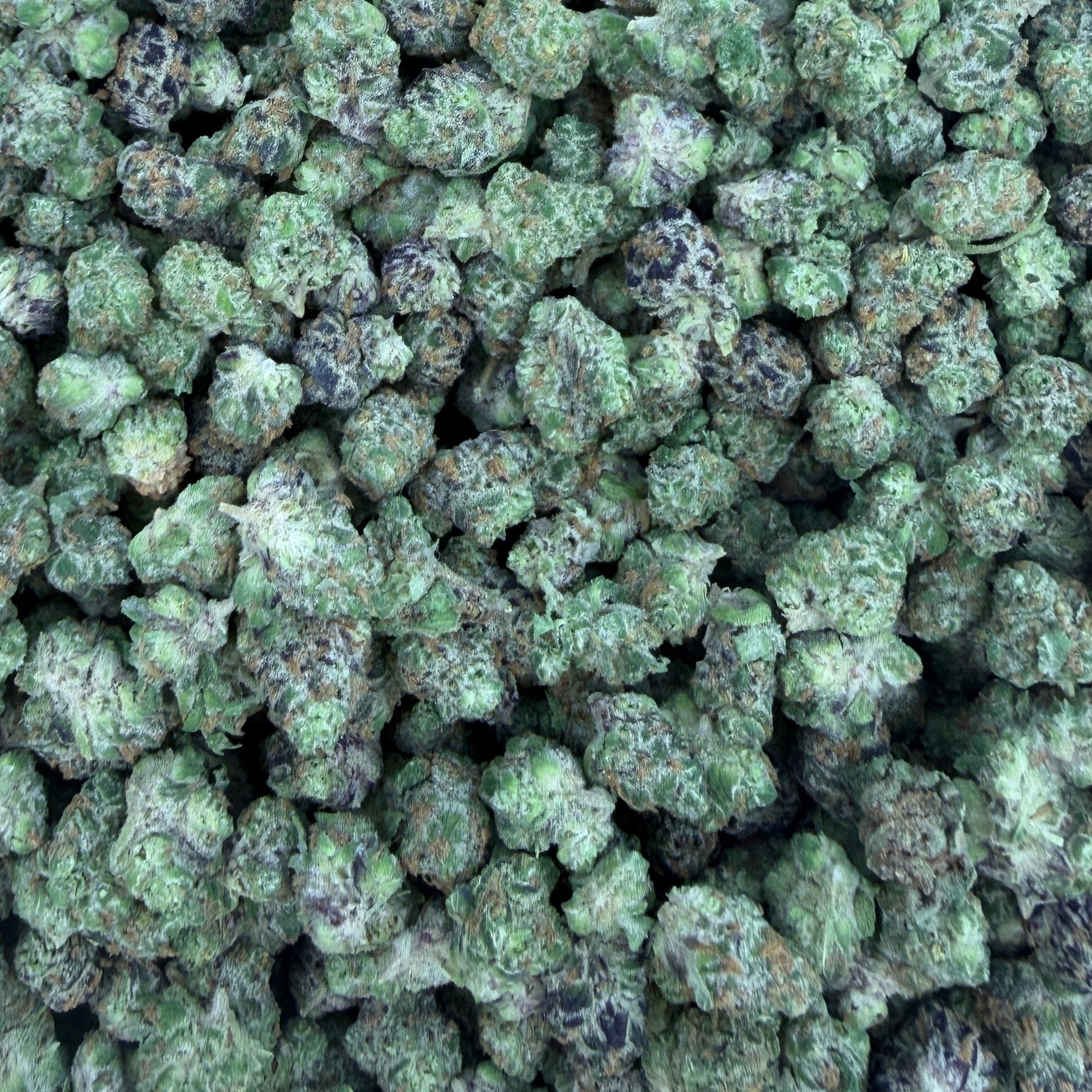 Peanut Butter Breath bulk THCA flower — Plain Jane 1 lb