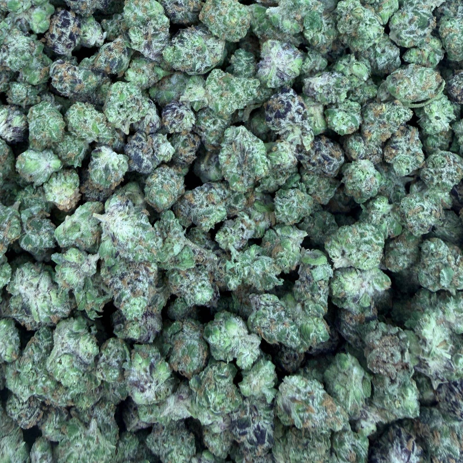 Peanut Butter Breath bulk THCA flower — Plain Jane 1 lb