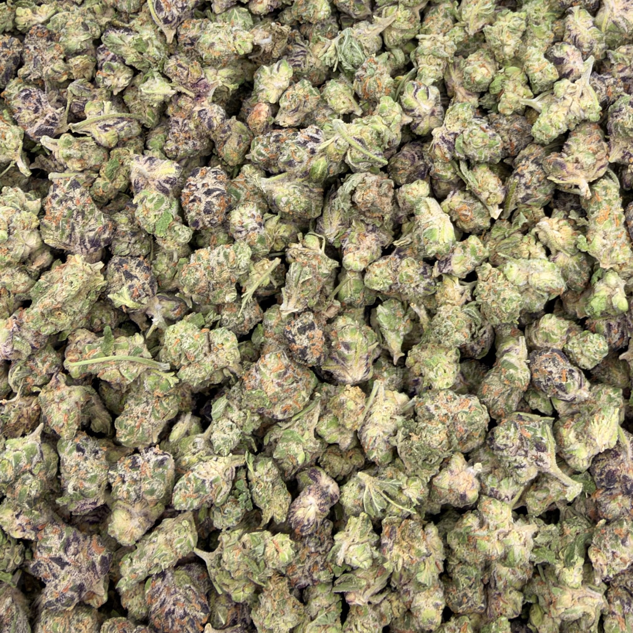 Peanut Butter Breath bulk THCA flower — Plain Jane 1 lb