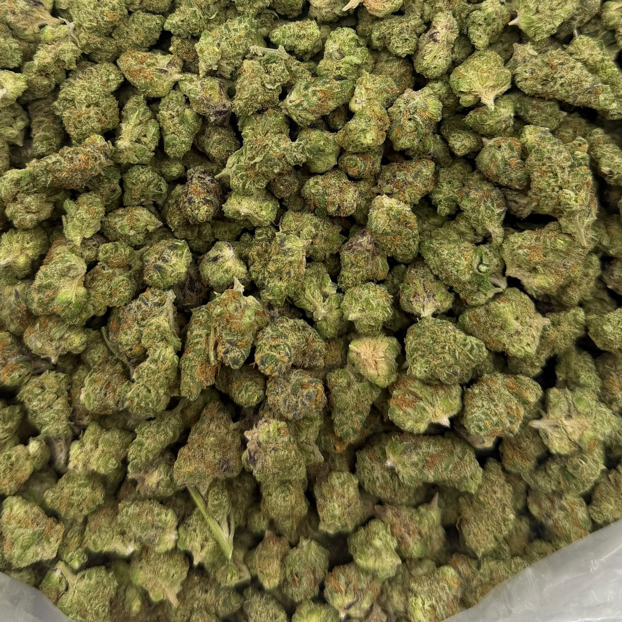 Peanut Butter Breath bulk THCA flower — Plain Jane 1 lb