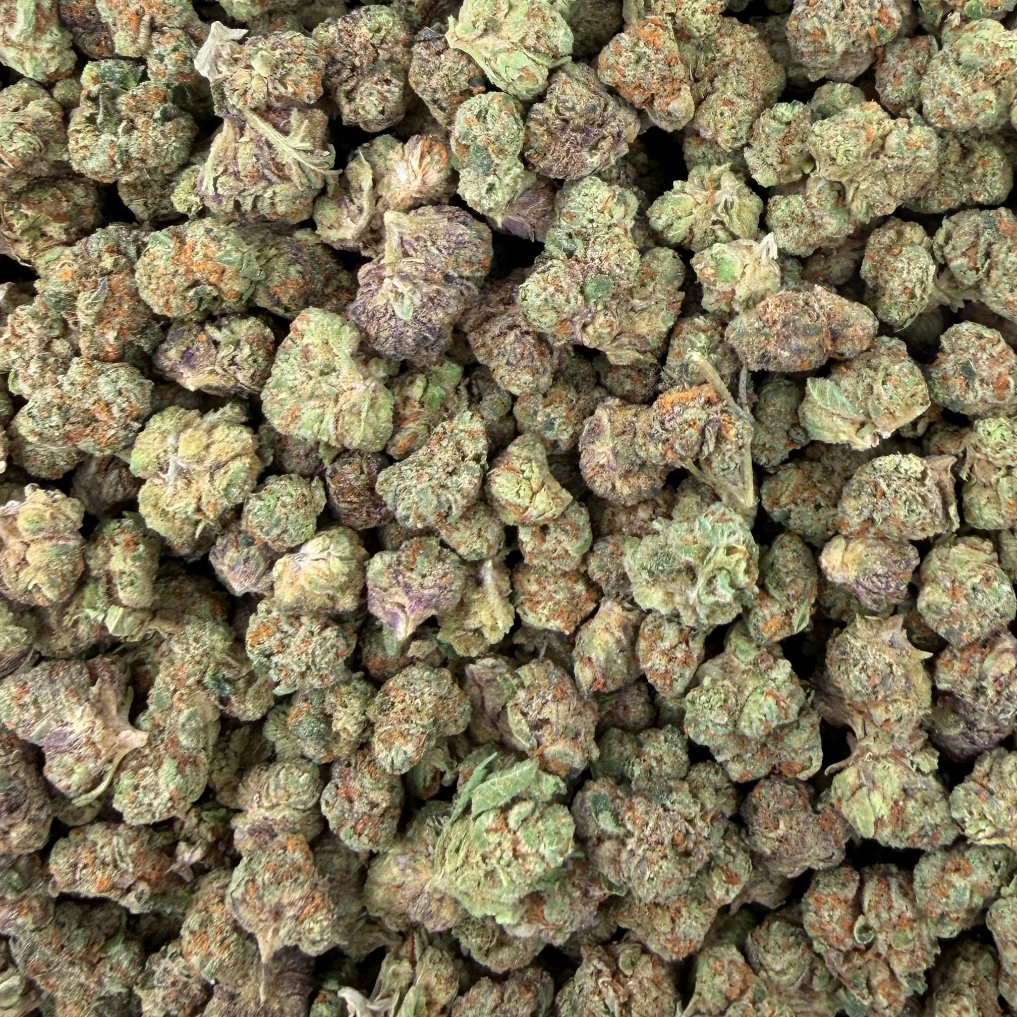 Permanent Chimera bulk THCA flower — Plain Jane 1 lb