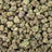 Permanent Chimera bulk THCA flower — Plain Jane 1 lb