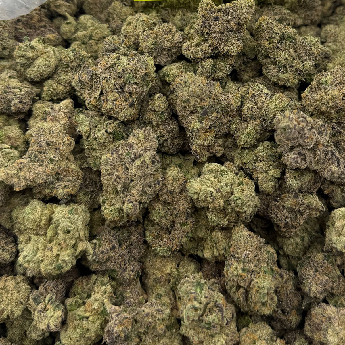 Permanent Chimera bulk THCA flower — Plain Jane 1 lb