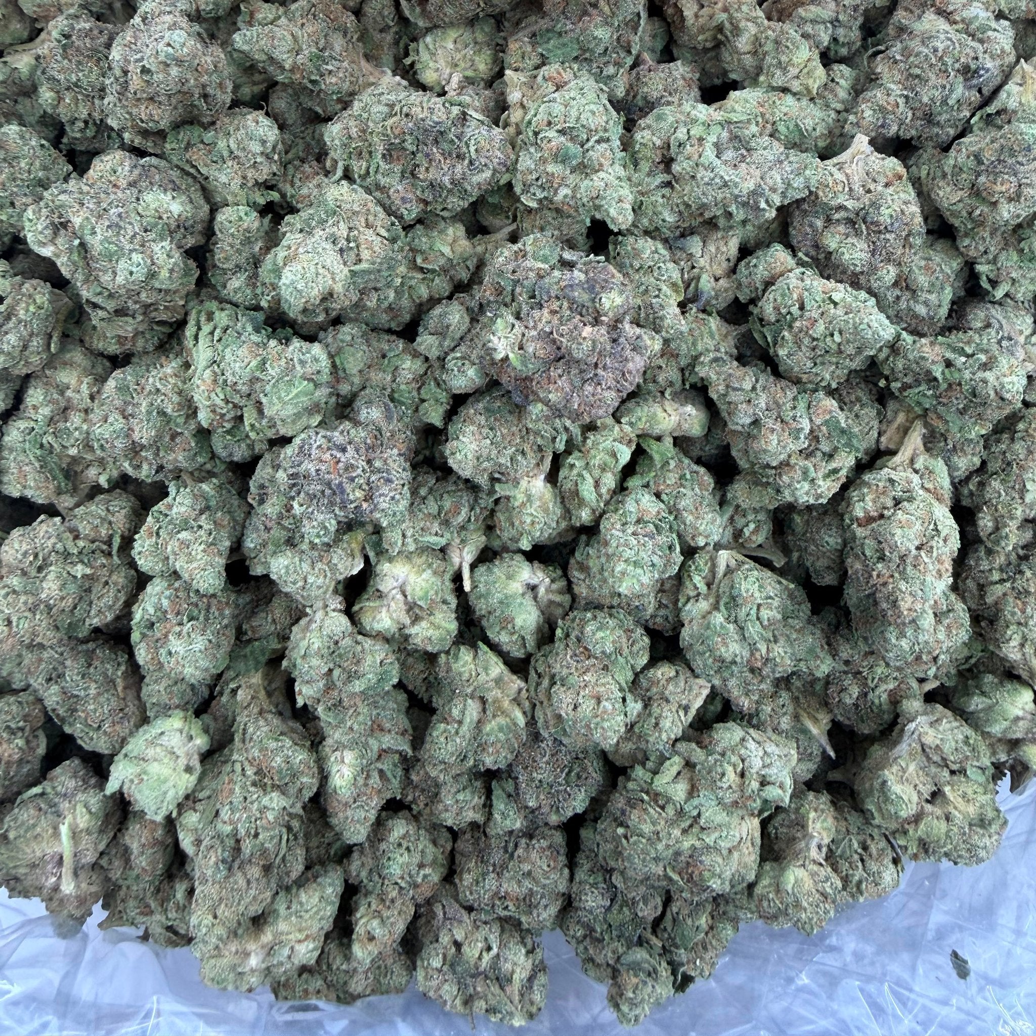 Permanent Gas bulk THCA flower — Plain Jane 1 lb