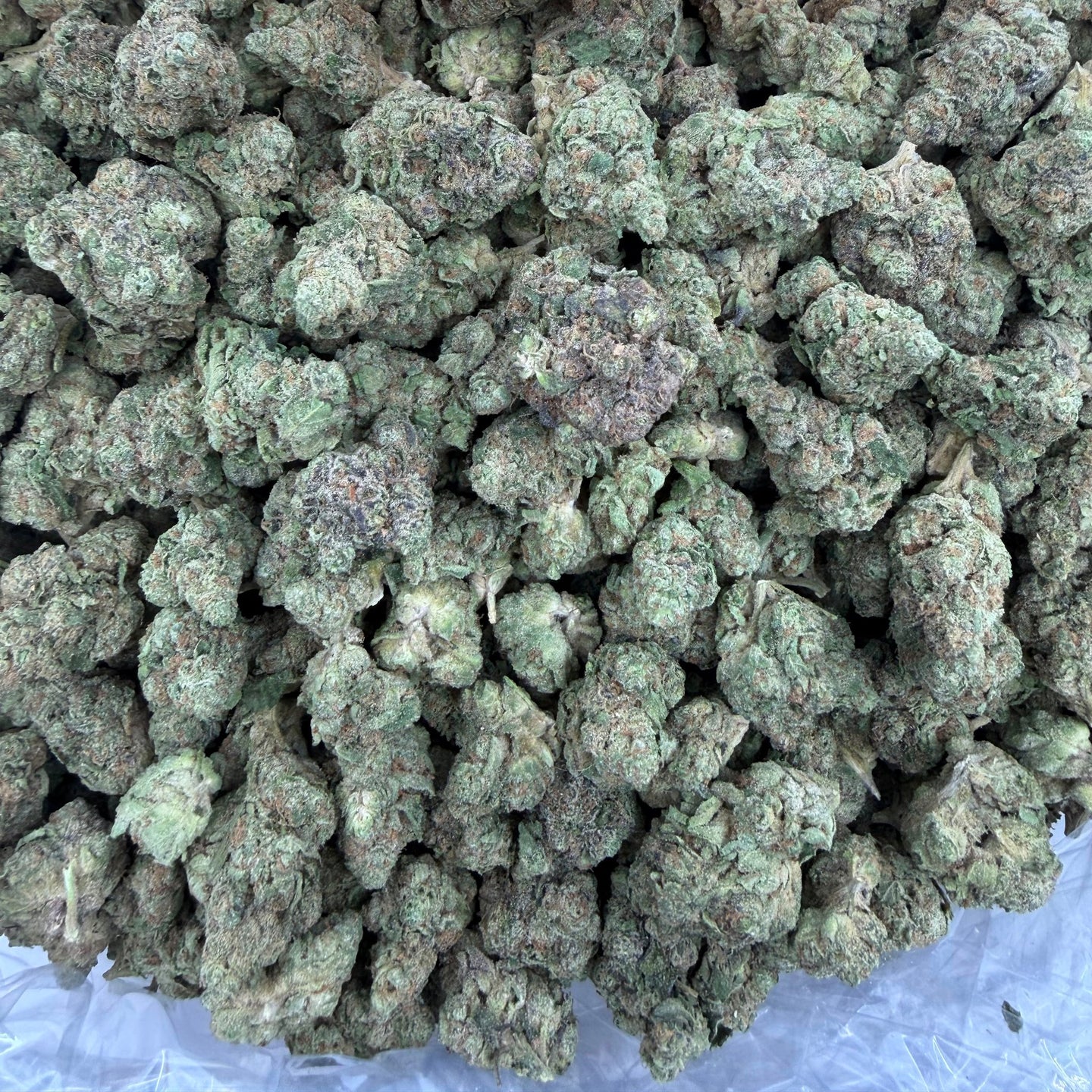 Permanent Gas bulk THCA flower — Plain Jane 1 lb
