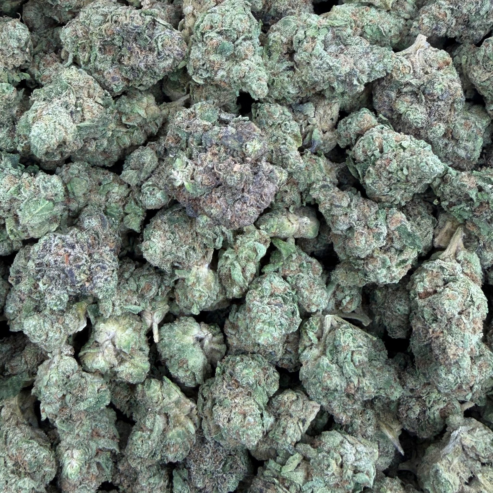 Permanent Gas bulk THCA flower — Plain Jane 1 lb
