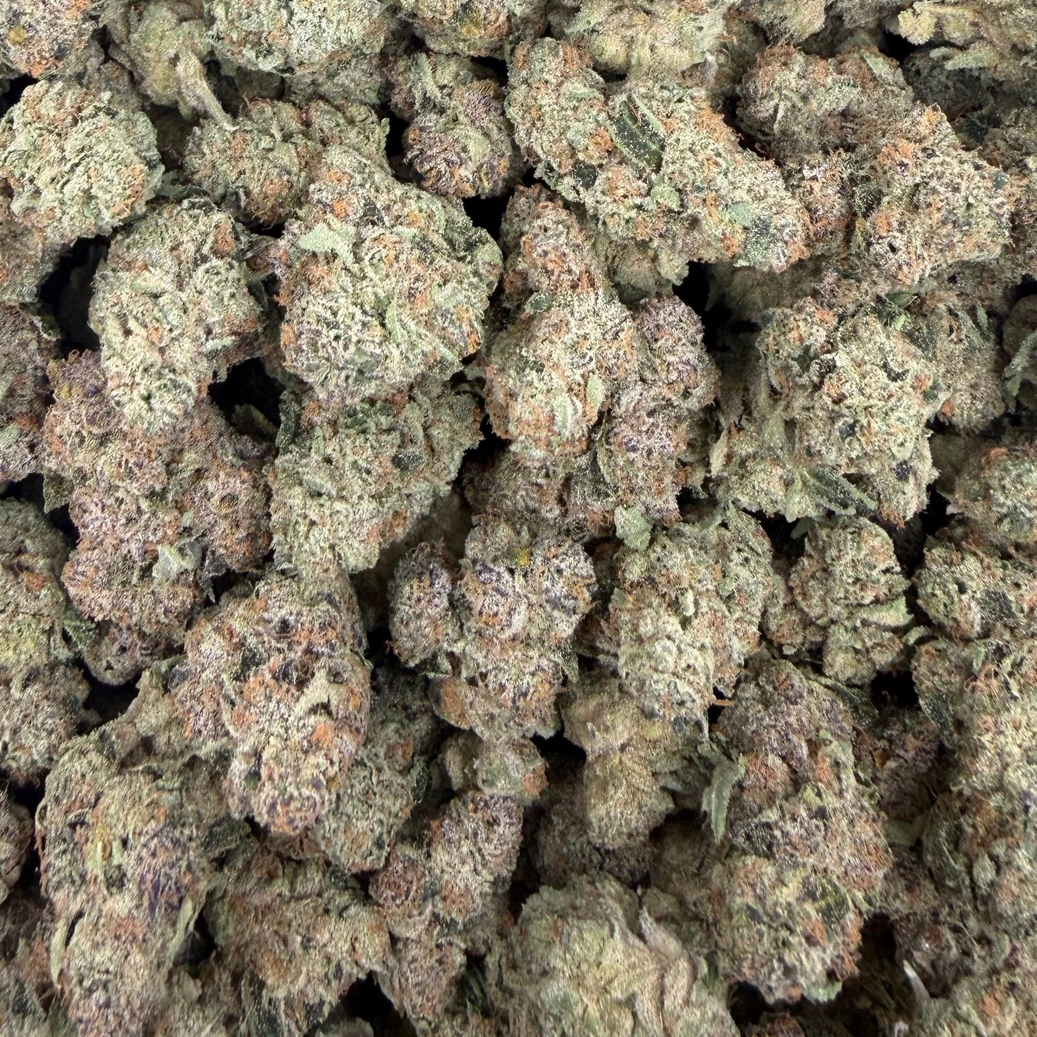 Permanent Gas bulk THCA flower — Plain Jane 1 lb