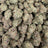 Permanent Gas bulk THCA flower — Plain Jane 1 lb