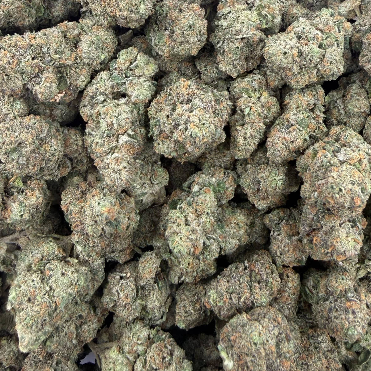 Permanent Gas bulk THCA flower — Plain Jane 1 lb