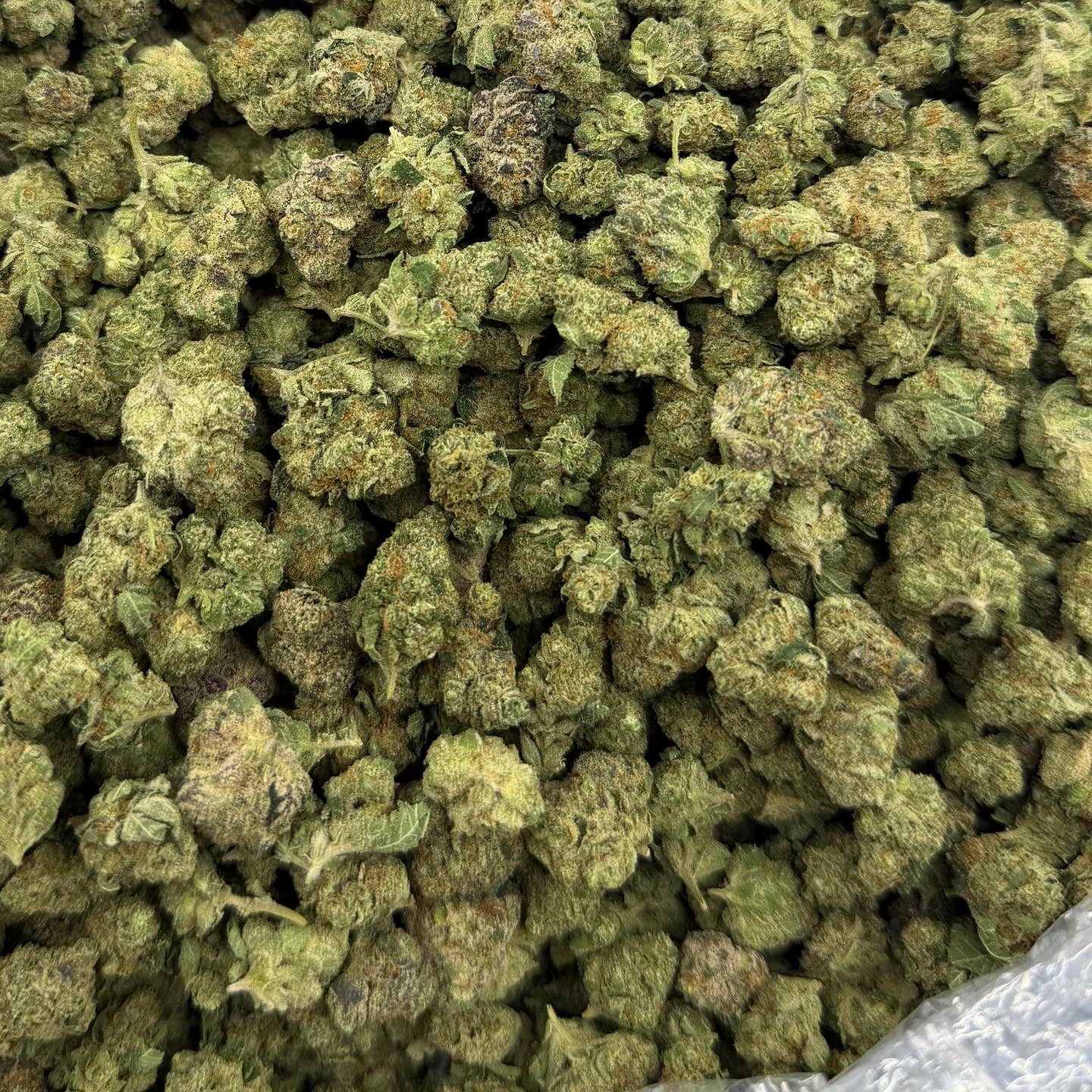 Pineapple Express bulk THCA flower — Plain Jane 1 lb