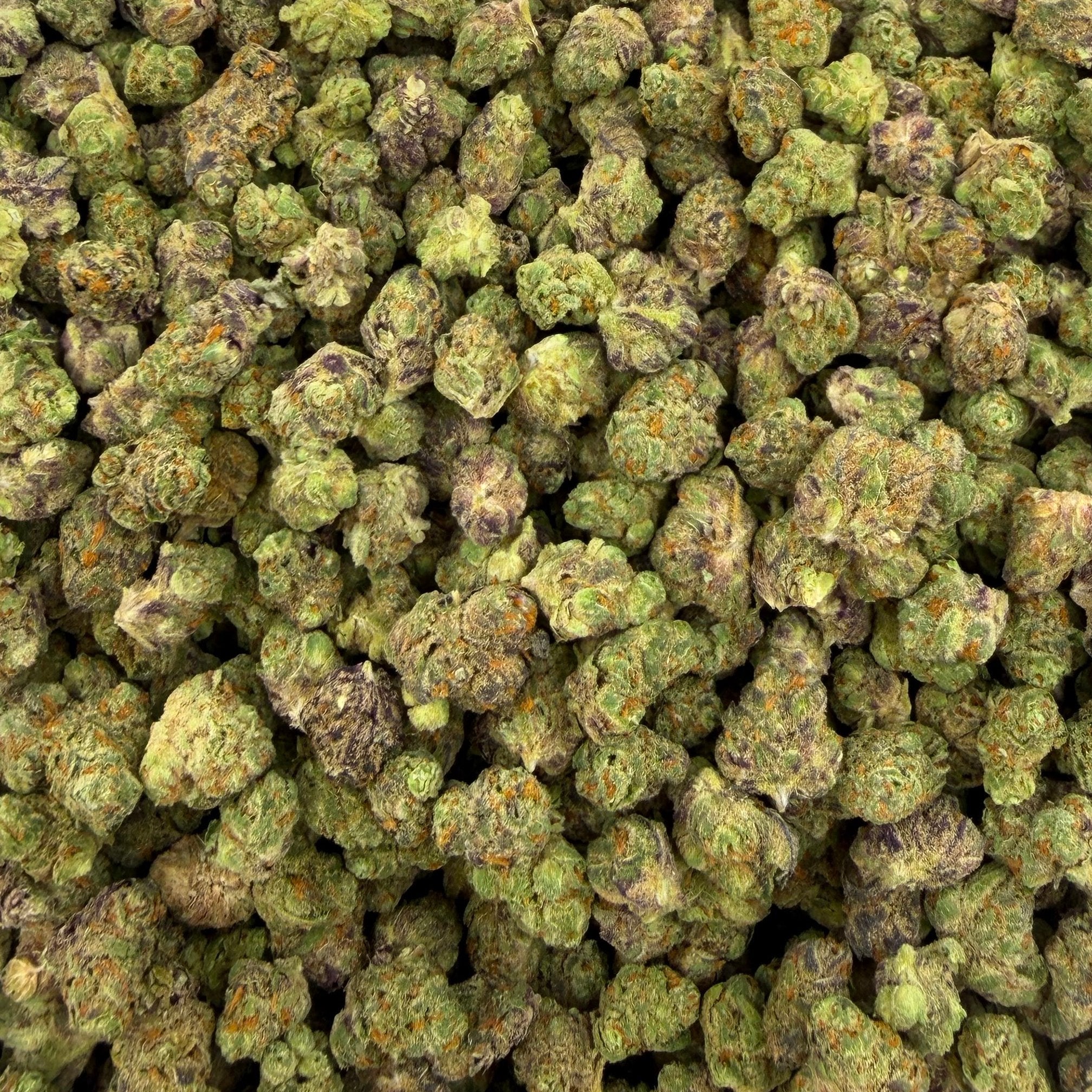 Pineapple Express bulk THCA flower — Plain Jane 1 lb