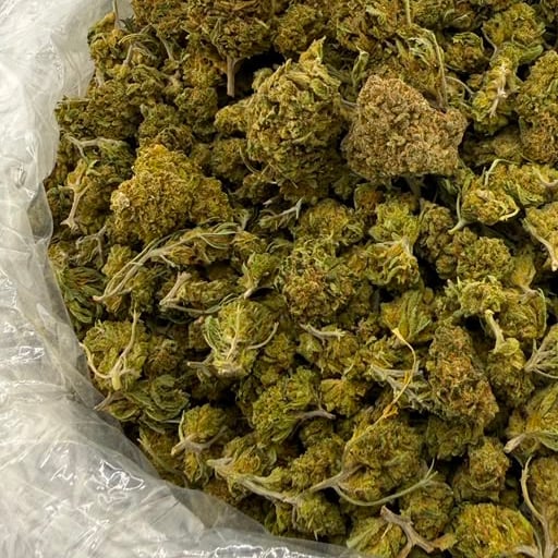 Pineapple Express bulk THCA flower — Plain Jane 1 lb