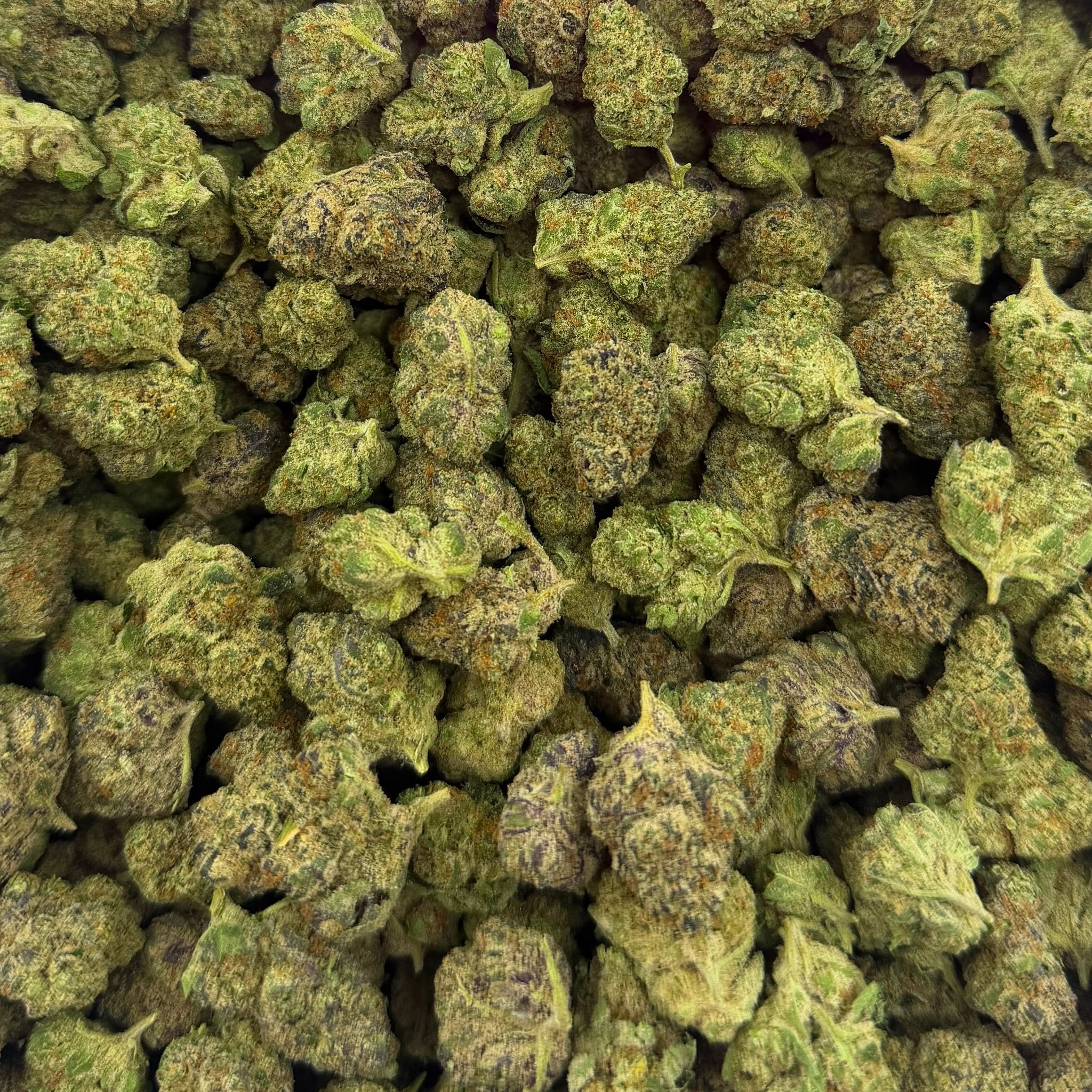 Pineapple Express bulk THCA flower — Plain Jane 1 lb