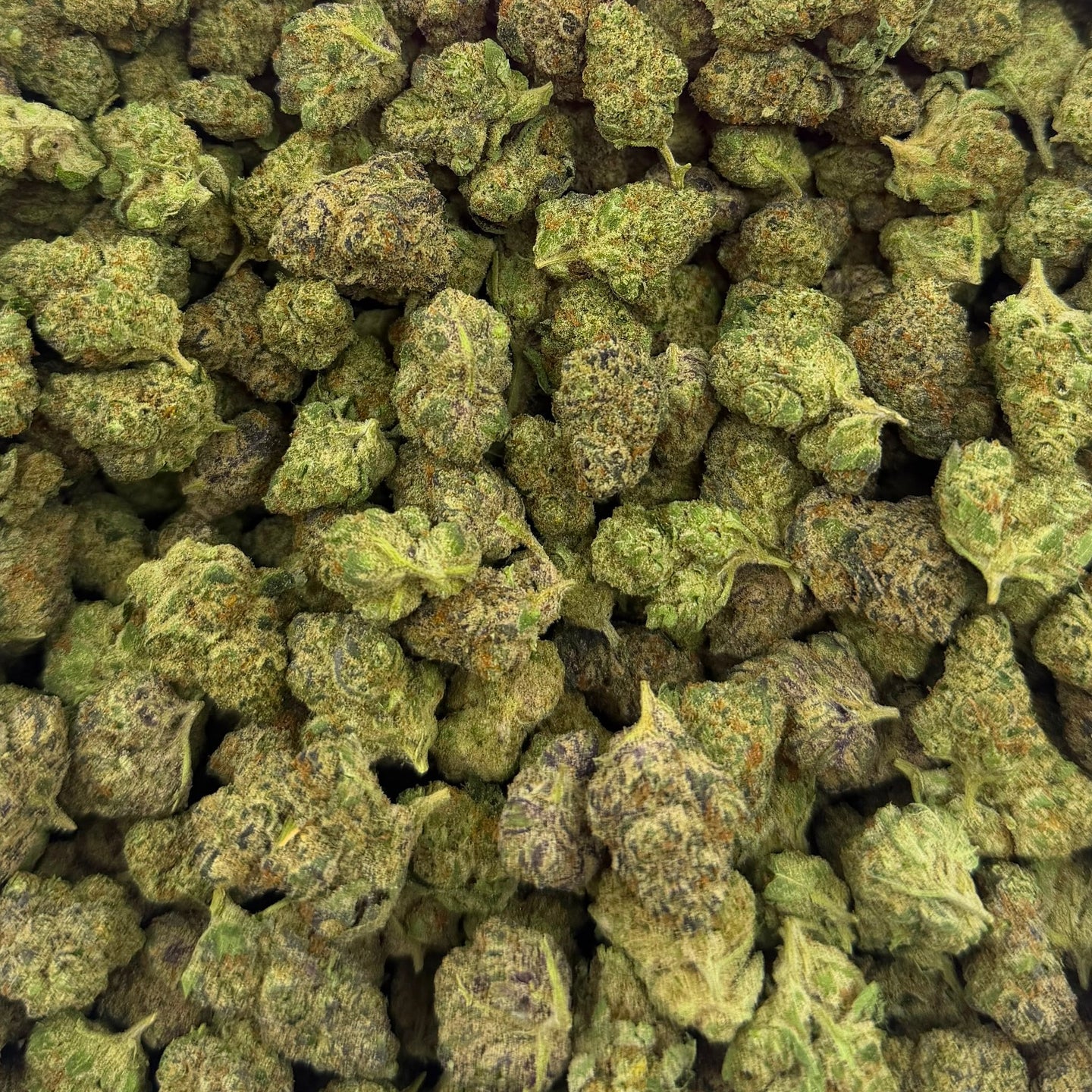 Pineapple Express bulk THCA flower — Plain Jane 1 lb