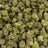 Pineapple Express bulk THCA flower — Plain Jane 1 lb