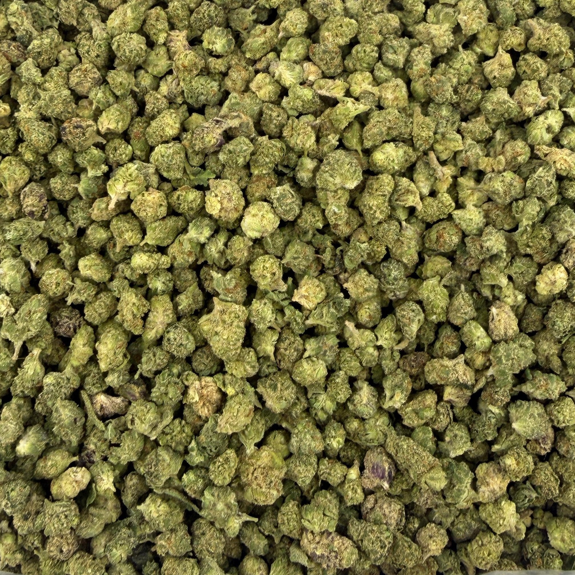 Pineapple Express M bulk THCA flower — Plain Jane 1 lb