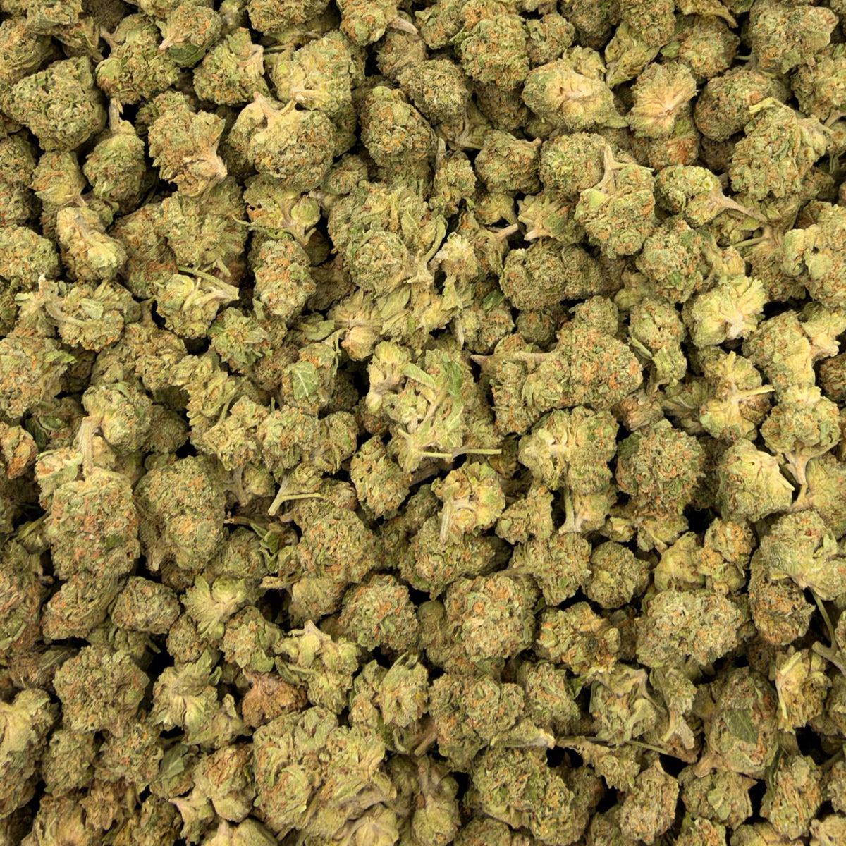 Pineapple Gelato bulk THCA flower — Plain Jane 1 lb