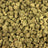 Pineapple Gelato bulk THCA flower — Plain Jane 1 lb