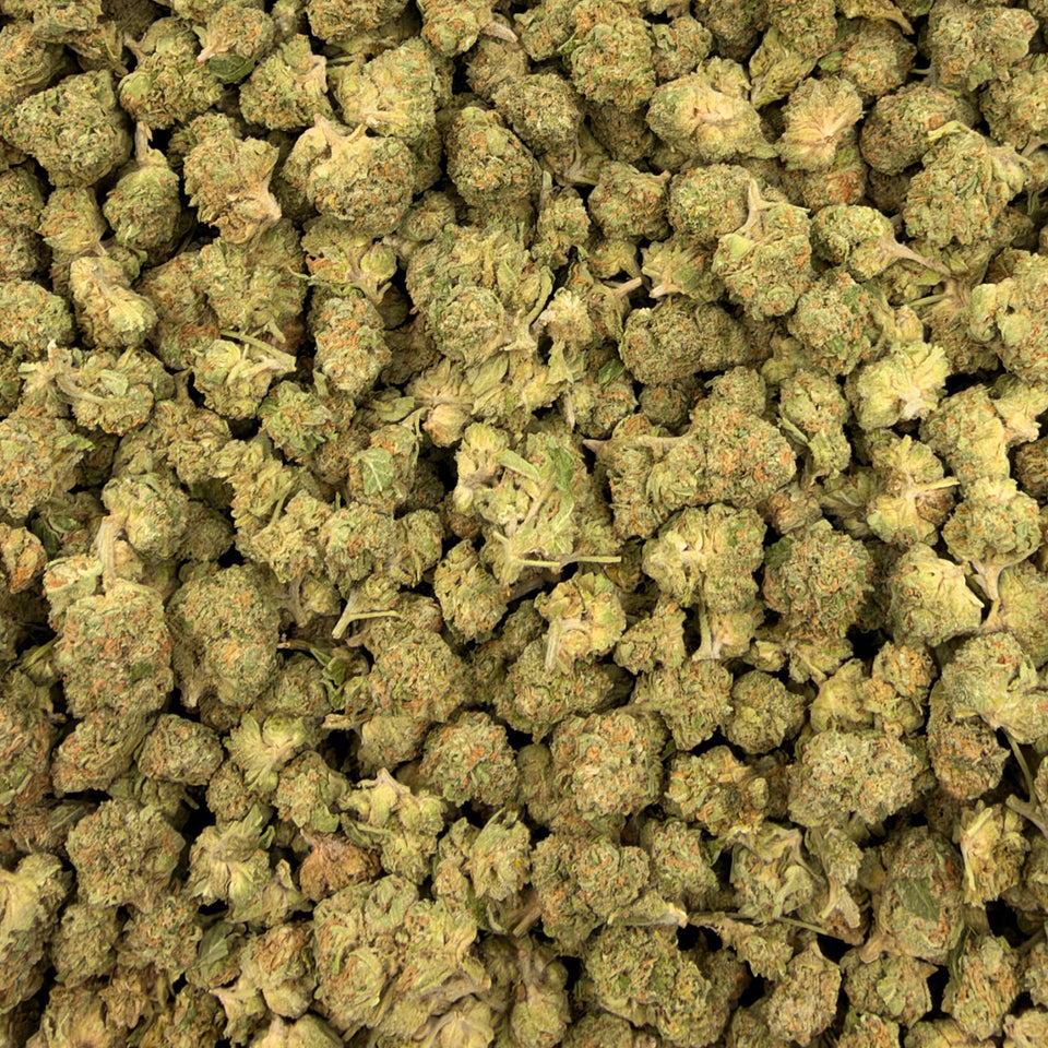 Pineapple Gelato (Indoor Smalls) – Bulk THCA Flower 1 lb