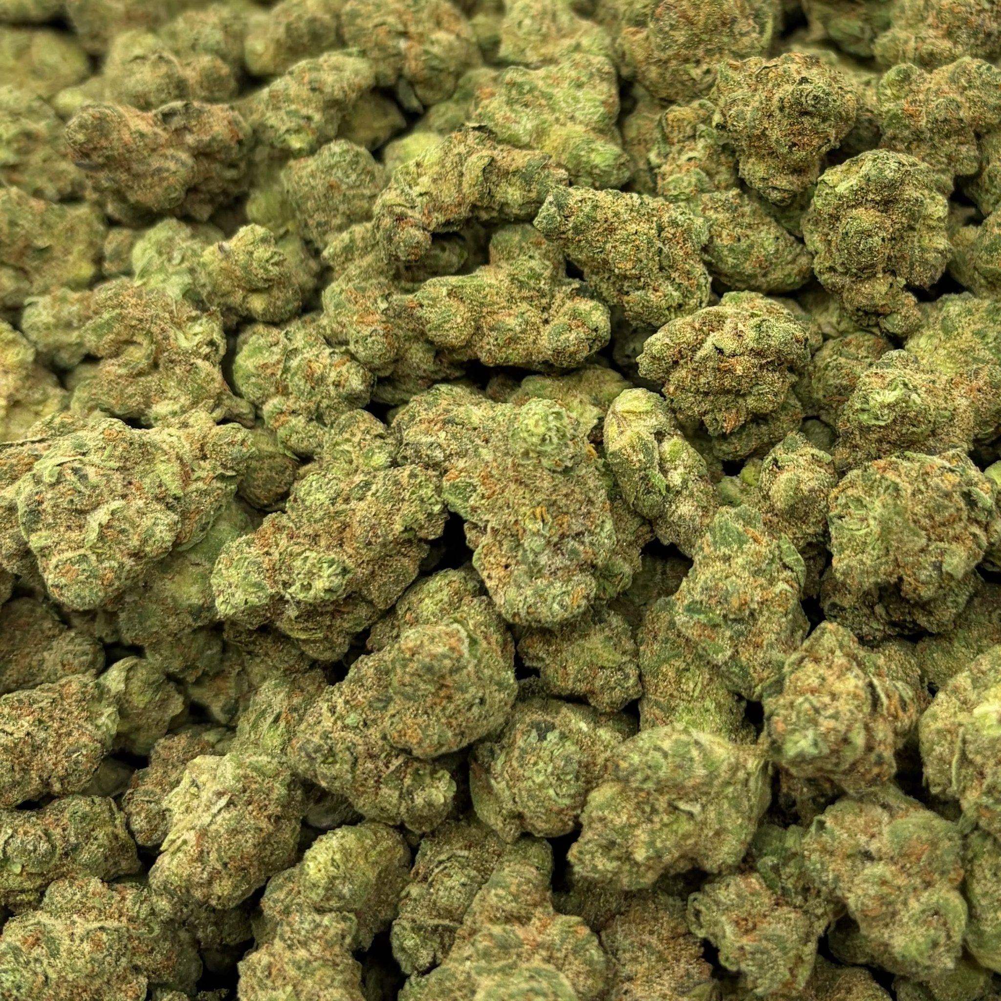 Pineapple Gelato bulk THCA flower — Plain Jane 1 lb