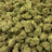 Pineapple Gelato bulk THCA flower — Plain Jane 1 lb