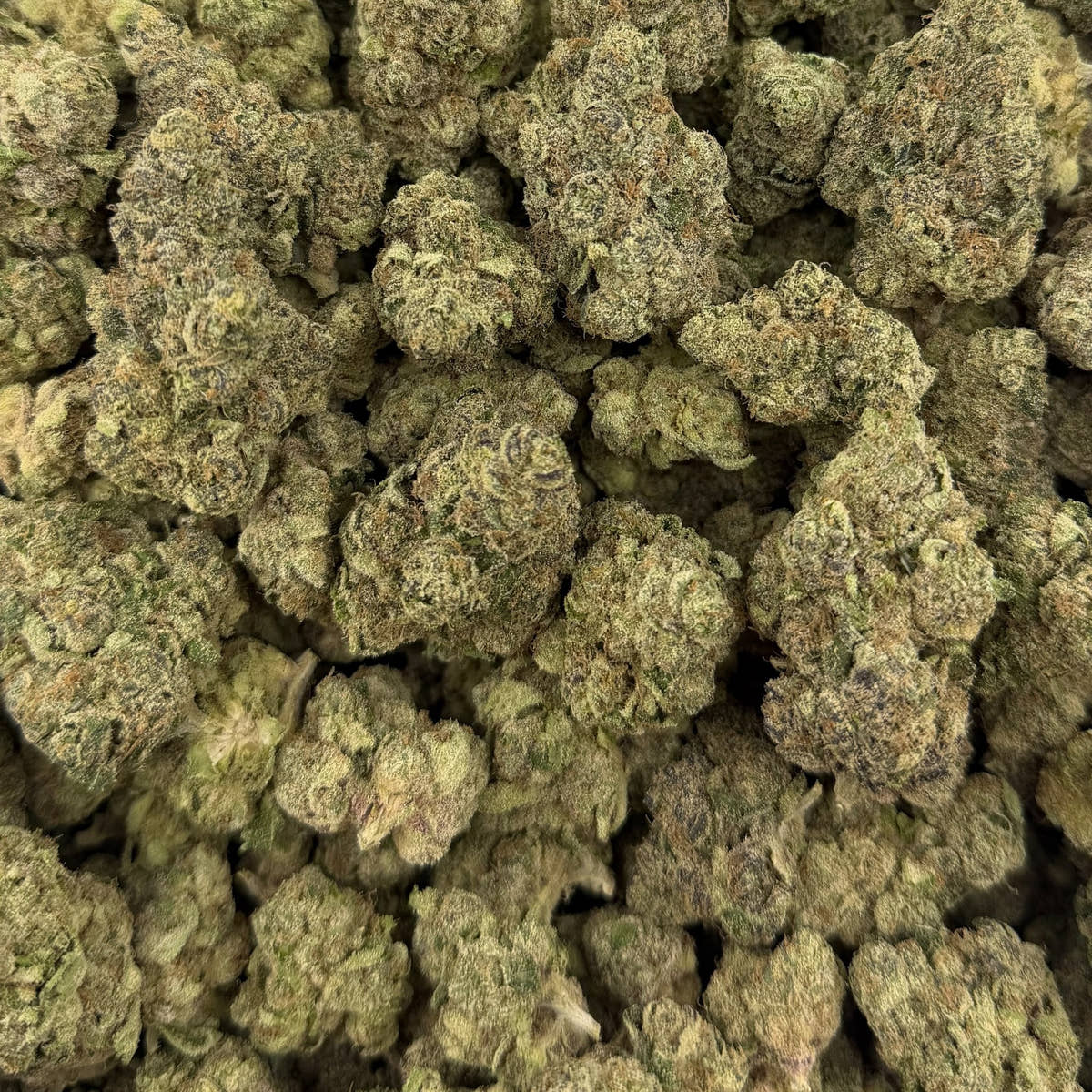 Pink Ice bulk THCA flower — Plain Jane 1 lb