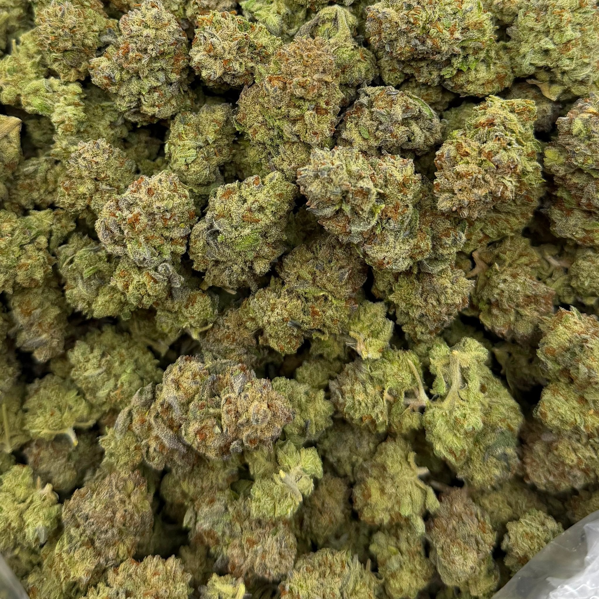 Pink Pie bulk THCA flower — Plain Jane 1 lb