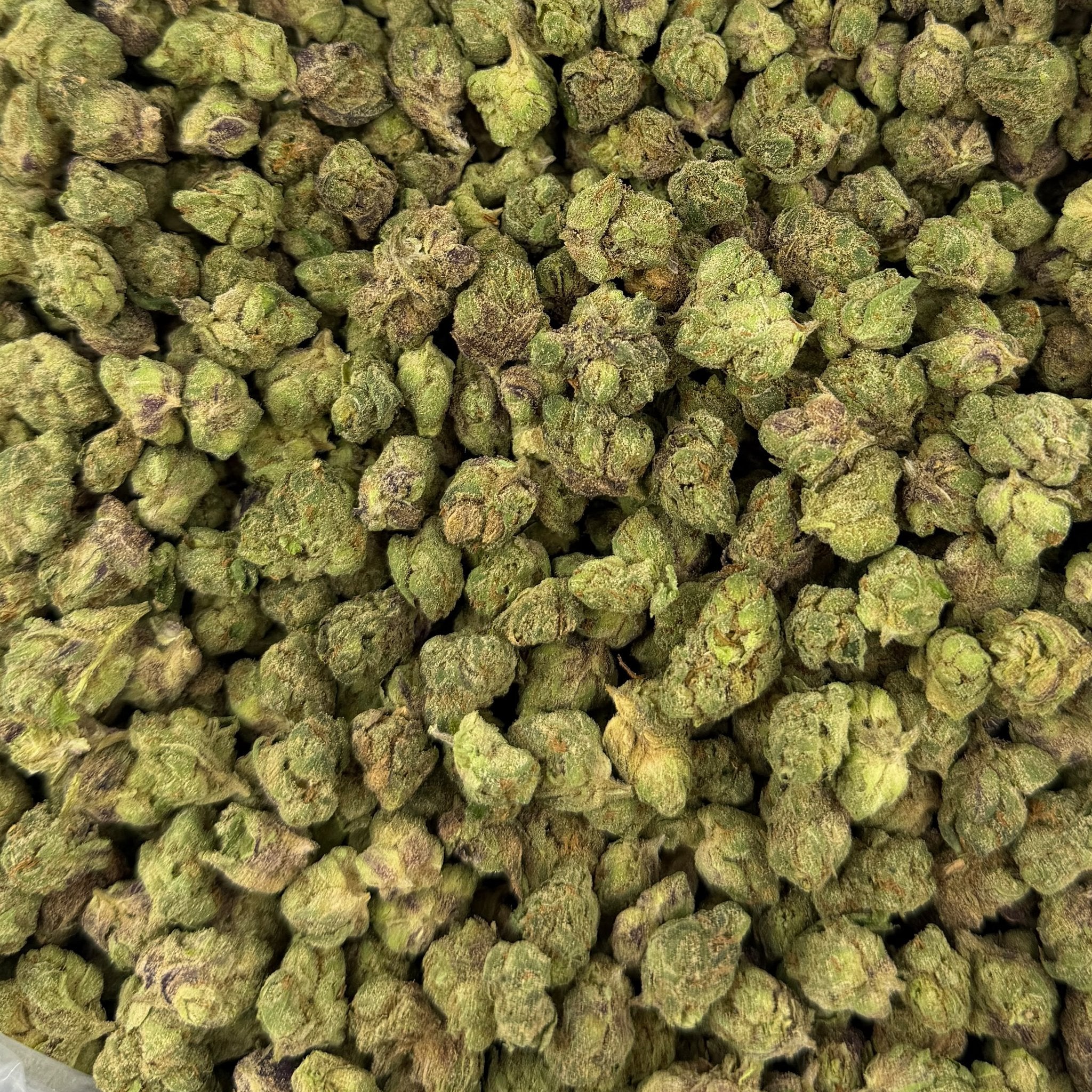 Pink Runtz bulk THCA flower — Plain Jane 1 lb