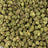 Pink Runtz bulk THCA flower — Plain Jane 1 lb